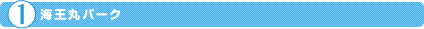 海王丸パーク